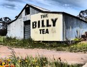 Billy Tea - Dawn Zandstra