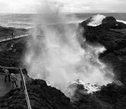 Blowhole Spectacular - Fran Brew