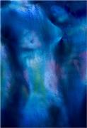 Blue nudes J Chapman - ... ...