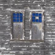 Blue windows - Maureen Rogers