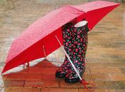 Boots and brolly - ... ...