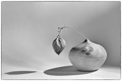 Bowl and seed - Maureen Rogers