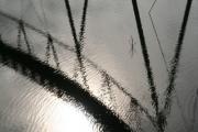 Brickpit J Proctor - ... ...