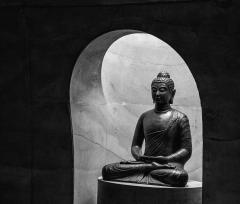 Buddha - Guy Machan