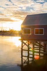 Busselton Dawn - Shane Clarkson