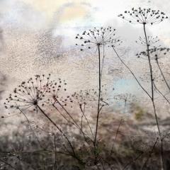 By The Tumut River - Judy Warburton