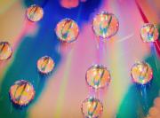 CD Extract P2285808 Nik DxO - Christo van Rensburg