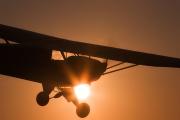 CUB AT SUNRISE NCP 400-gigapixel-hq-scale-2 00x - ... ...