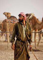 Camel Races-Syria - Gail MacDiarmid