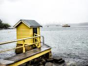 Camp Cove - Steve Mullarkey