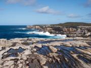 Cape Solander - Donald Gould