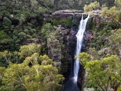 Carrington Falls - Heather Miles