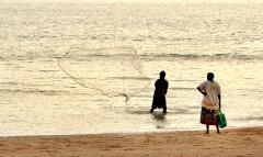 Cast net fishing - Jan Glover