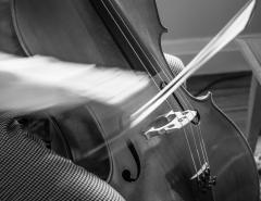 Cellist-2 - Janice Gursanscky