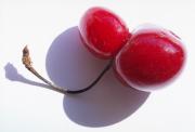 Cherries twins copy - ... ...