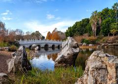 Chinese Garden - Judith Bennett