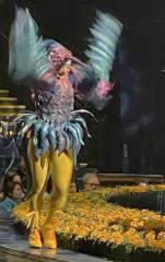 Circus Wings - Alan Sutton