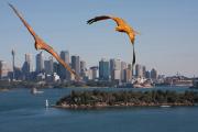 City Flyer - ... ...