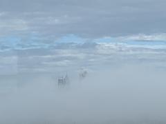 City of Sydney on a foggy morning - Jan Newland