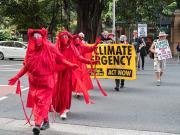 Climate Protest - Judy Watman
