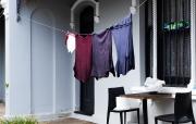 Clothes Line - Alan Sutton