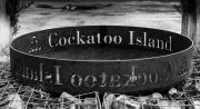 Cockatoo Island - Guy Machan