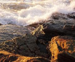 Collaroy Sunrise - Jenny Turtle