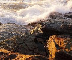 Collaroy Sunrise - Jenny Turtle