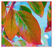 Coloured leaves 1-gigapixel-hq-scale-2 00x - ... ...