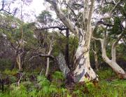 Colours of Nature - Dawn Zandstra