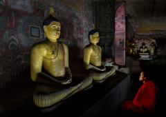 Contemplating the Buddha - Michael Hing