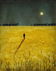 Contemplation - Hemant Kogekar
