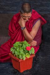 Contemplation - Erith French