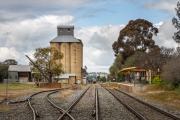 Coolamon Station - Nigel Streatfield