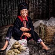 Corn selller - ... ...