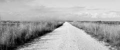 Country Back Road - Margaret Frankish