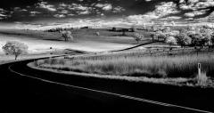 Country Road - Steve Mullarkey