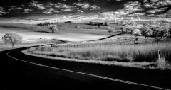 Country Road - Steve Mullarkey