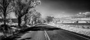 Country Road - Steve Mullarkey