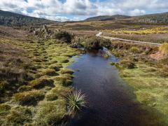 Cradle Mountain - Judy Watman