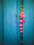 Creeper - ... ...