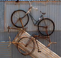 Cycles - Tim Collisbird