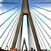 DSC1018 1 - ... ...