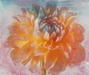 Dahlia and Ink2 - Fran Brew