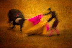 Dance of the Matador - Kerry Boytell