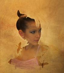 Dance of the the phoenix - Carol Abbott