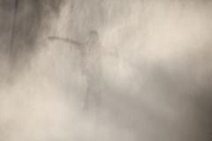 Dancing in the rain - Christopher de Doby