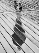 Dex walking - Carol Abbott