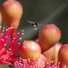 Dinner time - Heather Miles