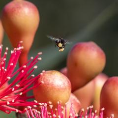 Dinner time - Heather Miles